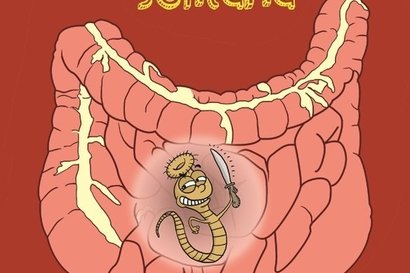 Content_capa_3